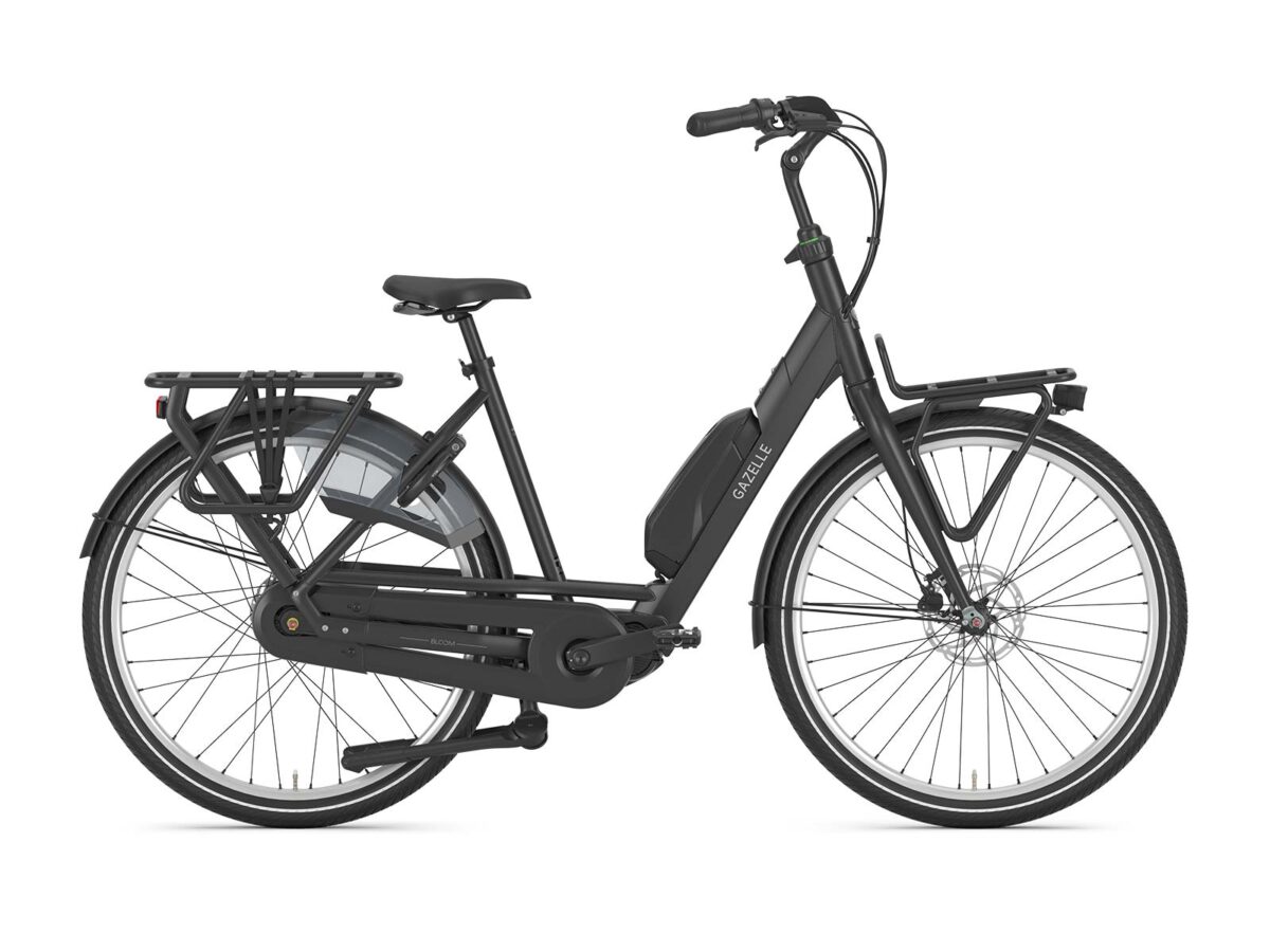Gazelle Bloom C310 - Afbeelding 2