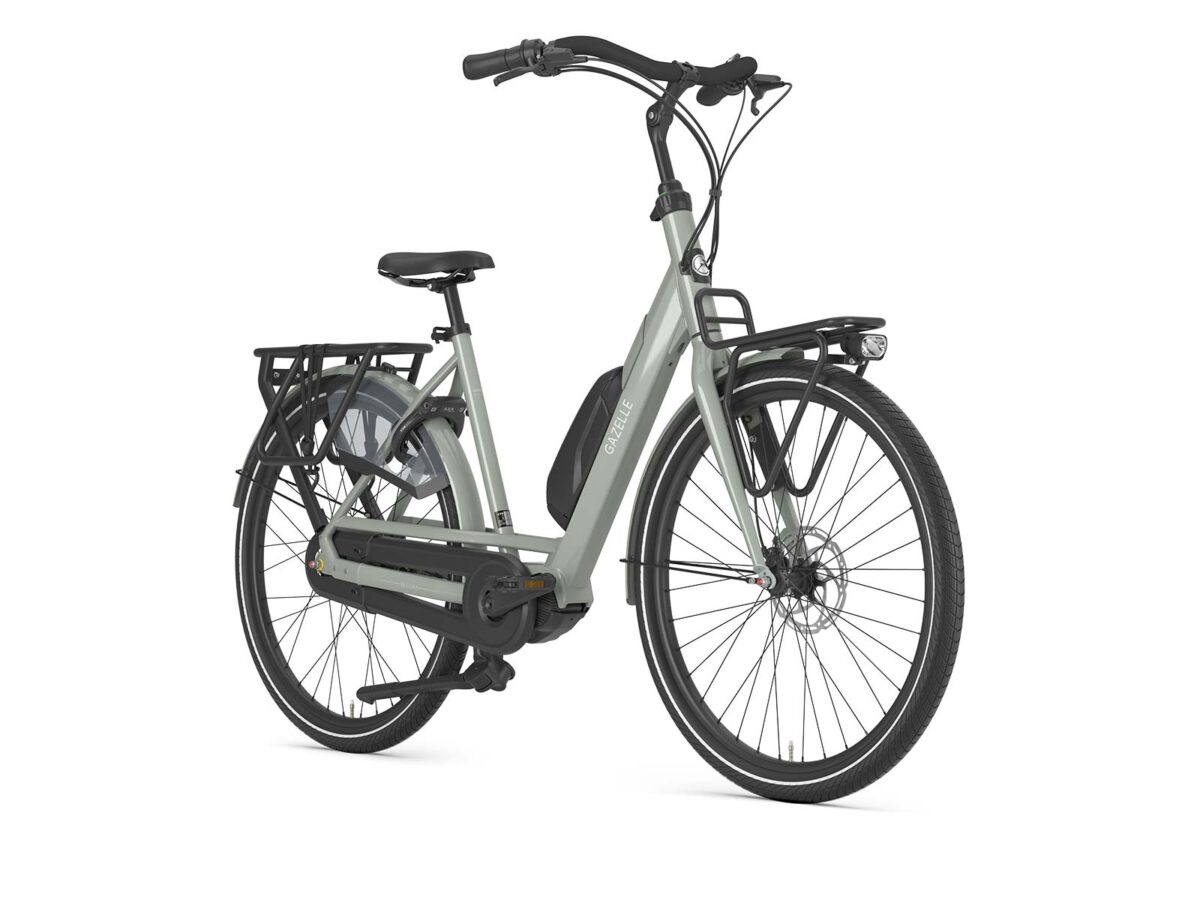 Gazelle Bloom C310 - Afbeelding 3