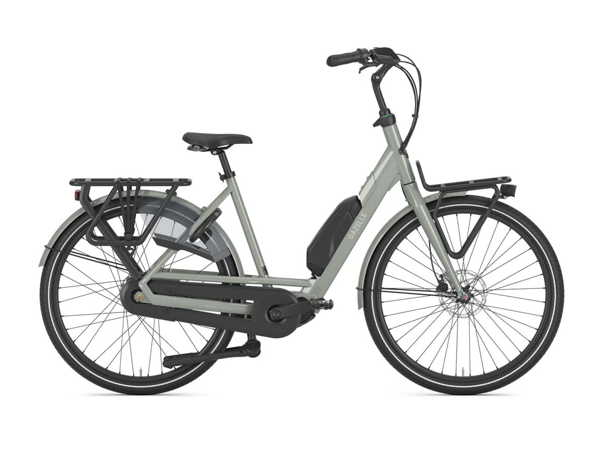 Gazelle Bloom C310